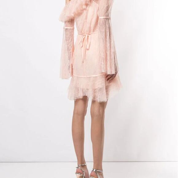 Alice McCall Shadow Love Lace Ruffle Mini Dress | Blush Pink Off Shoulder | Sz 6 - Picture 5 of 10